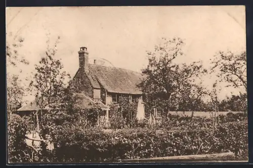 AK Comfrey, Cottage and Garden