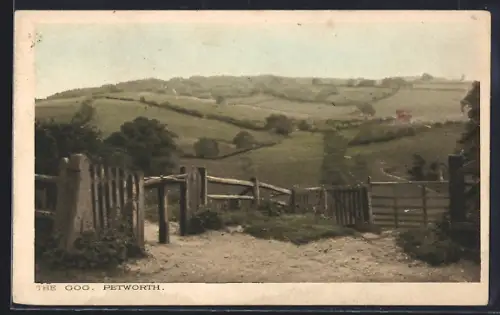 AK Petworth, The Gog