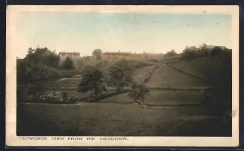 AK Petworth, View from the Meadows