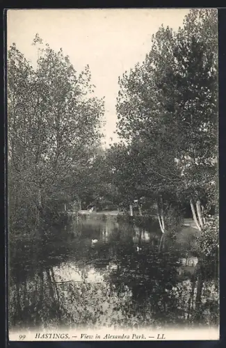 AK Hastings, View in Alexandra Park