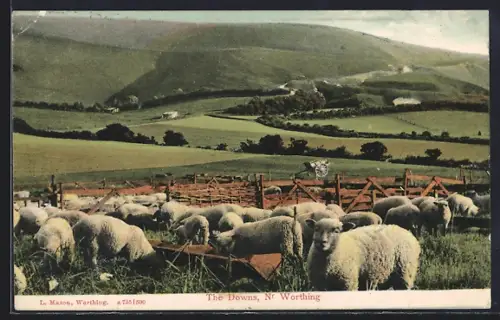 AK Worthing, The Downs