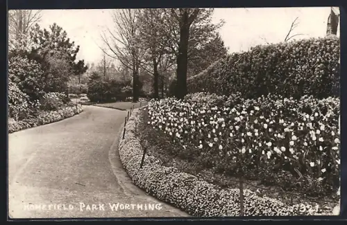AK Worthing, Homefield Park