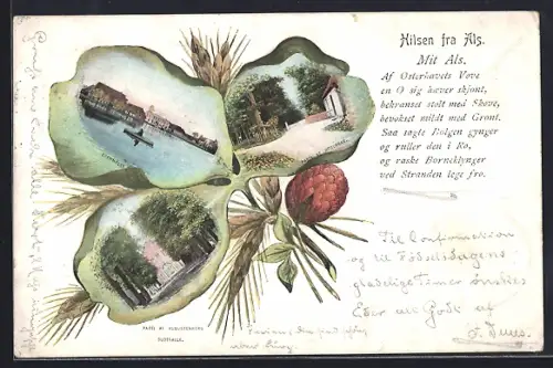 AK Als, Parti af Augustenborg, Slotsallee, Egenmolle