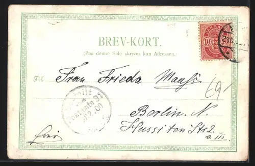 AK Aarhus, Dampfer und Ortspartien im Ufer-Passepartout