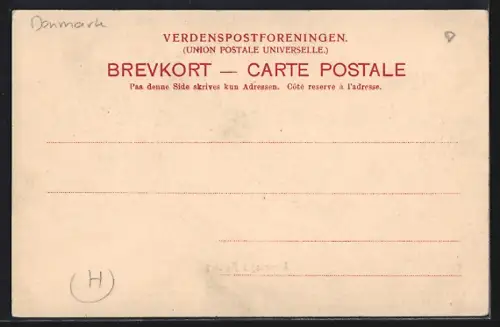 AK Aalborg, Torvedag