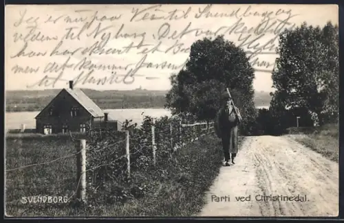 AK Svendborg, Parti ved Christinedal