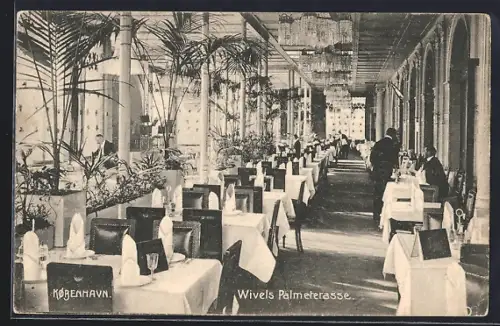 AK Kobenhavn, Wivels Palmeterrasse