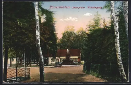 AK Kaiserslautern /Rheinpfalz, Waldeingang, Brunnen, Gebäude