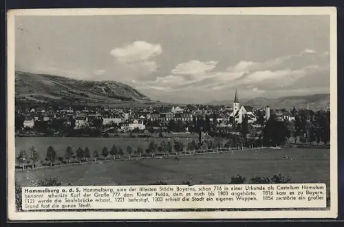 AK Hammelburg a. d. S., Stadtansicht mit Kirche und Umgebung