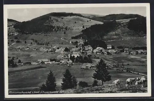 AK Menzenschwand i. bad. Schwarzwald, Ortsansicht mit Schwarzwaldhöfen und Weidelandschaft