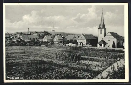 AK Waldalgesheim, Ortsansicht mit Kirche