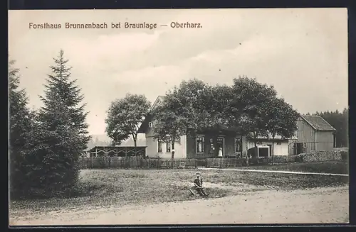 AK Brunnenbach bei Braunlage, Forsthaus Brunnenbach