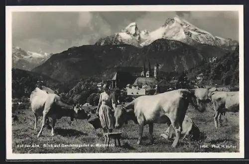 AK Berchtesgaden, Blick auf Watzmann und Kirche, Alm mit Kühen