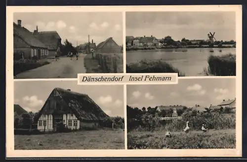 AK Dänschendorf /Fehmarn, Dorfansichten, Windmühle, reetgedecktes Bauernhaus