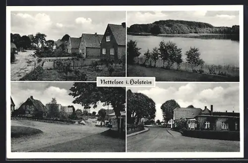 AK Nettelsee i. Holstein, Ortsansichten, See, Wohnhäuser