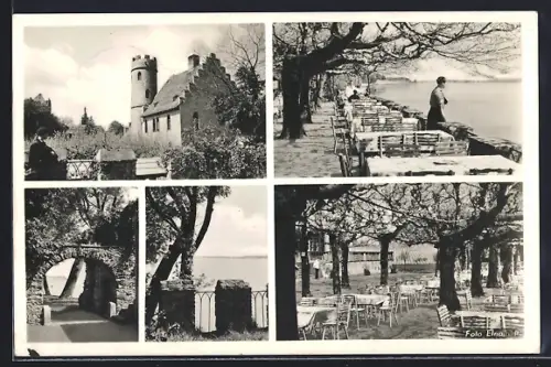 AK Eltville im Rheingau, Burg Crass, Rheinpromenade, Restaurant