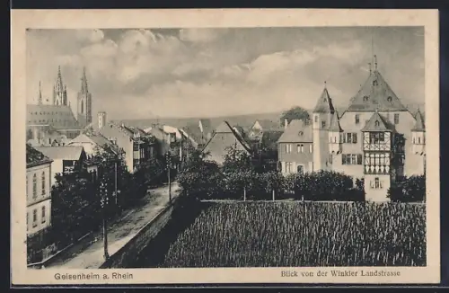 AK Geisenheim a. Rhein, Blick von der Winkler Landstrasse