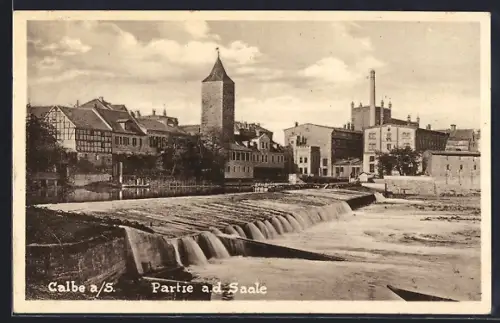 AK Calbe a. S., Partie an der Saale, Fluss, Altstadt, Turm