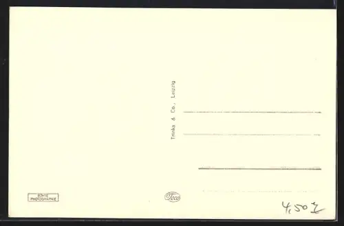 AK Grimma, Markt mit Rathaus