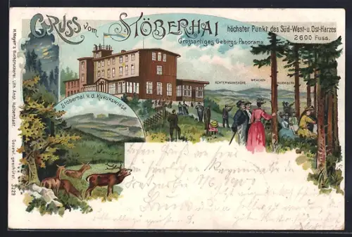 Lithographie Wieda, Hotel und Pension Stöberhai