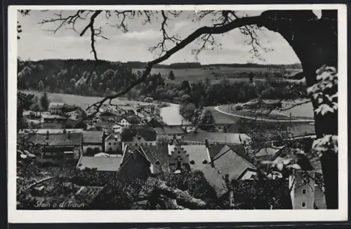 AK Stein a. d. Traun, Totalansicht mit Traunbrücke aus der Vogelschau