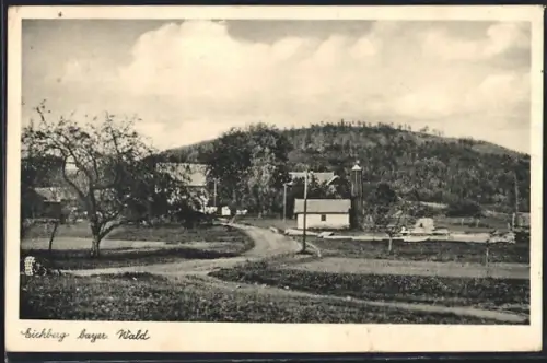 AK Eichberg /Bayer. Wald, Ortsansicht mit Landstrasse u. Bergblick