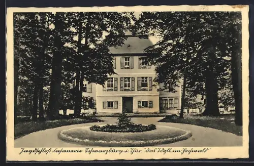 AK Schwarzburg in Thür., Jagdschloss Fasanerie, Gasthaus Fasanerie, Inh. Baumgarten