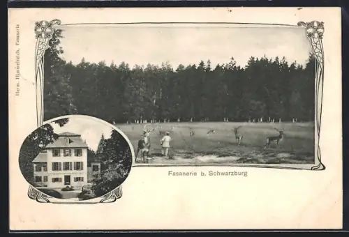 AK Schwarzburg, Fasanerie, Wildgehege, Forsthaus
