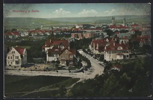 AK Naumburg a. Saale, Stadtansicht mit Villen und Dom