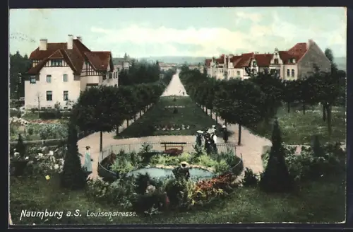 AK Naumburg a. S., Louisenstrasse, Gartenanlage, Wohnhäuser