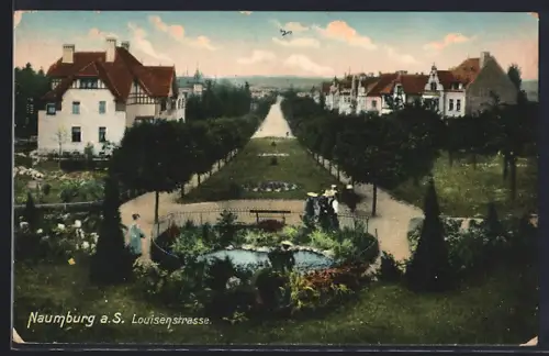 AK Naumburg a. S., Louisenstrasse, Gartenanlage, Wohnhäuser