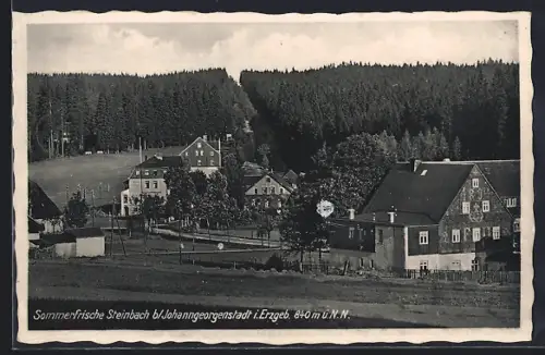 AK Steinbach b. Johanngeorgenstadt, Ortsansicht, Wald