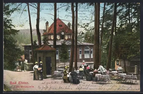 AK Bad Elster, Café Waldquelle