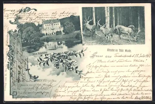 AK Reinhardsbrunn /Thür. Wald, Schloss, Hirsche im Wald