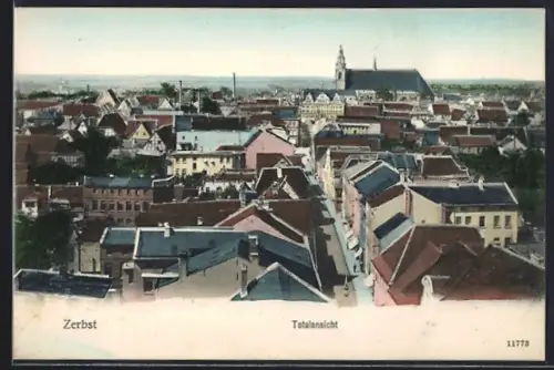 AK Zerbst, Totalansicht