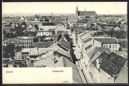 AK Zerbst, Totalansicht
