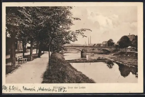 AK Rosswein, Unter den Linden, Brücke, Flussufer