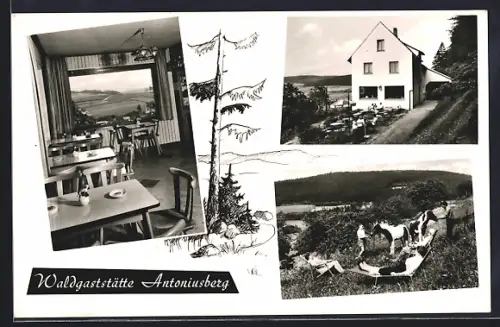 AK Hutzdorf b. Schlitz, Waldgaststätte Antoniusberg, Inh. B. Cieslik
