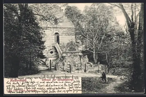 AK Halberstadt, Schloss auf Spiegelsberge