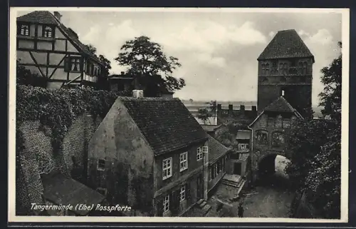 AK Tangermünde /Elbe, Rosspforte