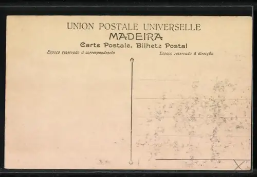 AK Madeira, Funchal. Theatro e Jardim Publico