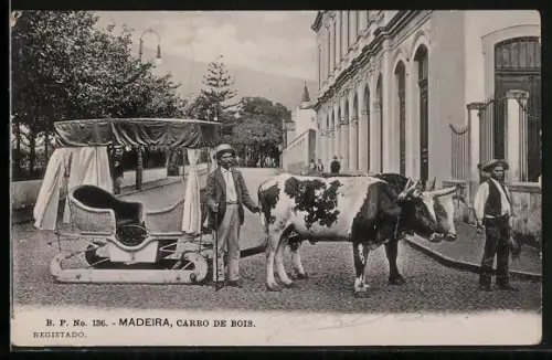 AK Madeira, Carro de Bois