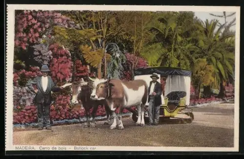 AK Madeira, Carro de bois