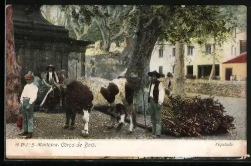 AK Madeira, Côrca de Bois