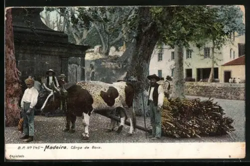 AK Madeira, Côrca de Bois