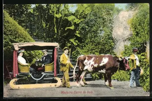 AK Madeira, Carro de bois