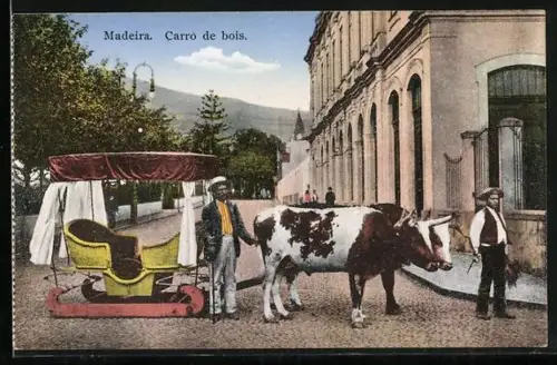 AK Madeira, Carro de bois, Ochsenschlitten