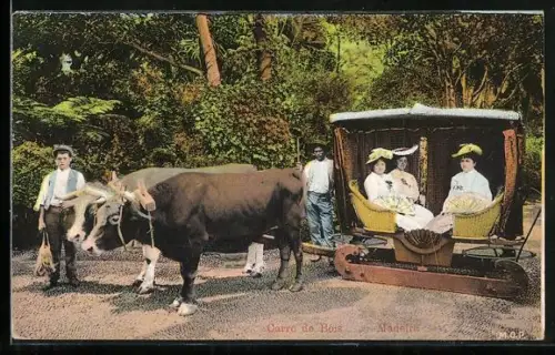 AK Madeira, Carro de Bois