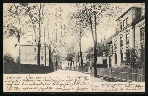 AK Eibenstock i. Erzgeb., Häuser an der Schneebergerstrasse