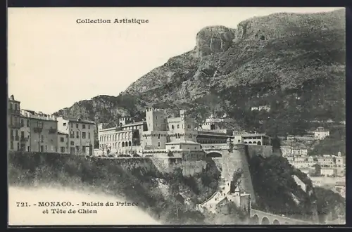 AK Monaco, Palais du Prince et Tete de Chien, Collection Artistique